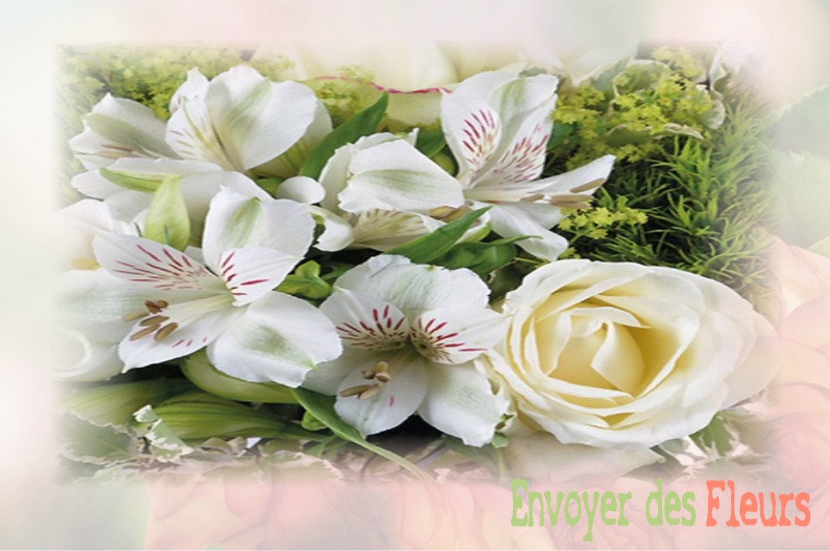 envoyer des fleurs à à NOYERS-PONT-MAUGIS
